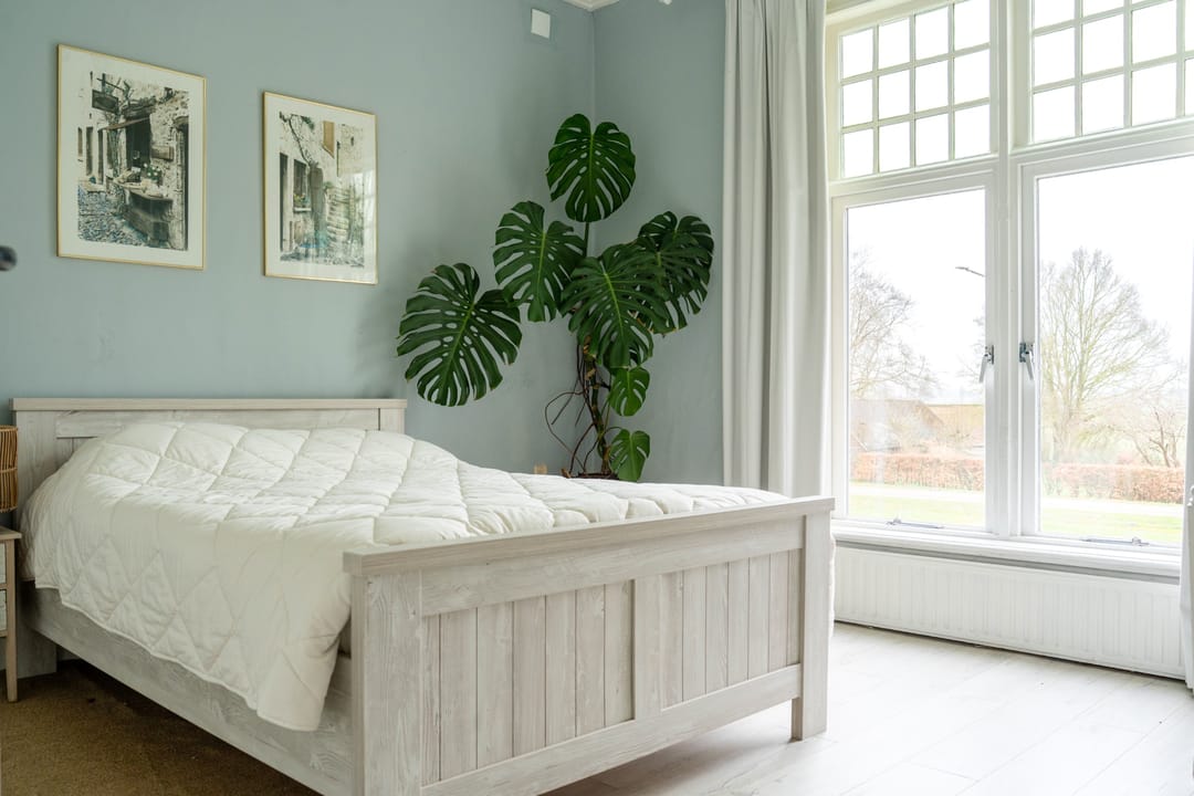 Foto 62 van Dedemsvaartseweg-Noord 50