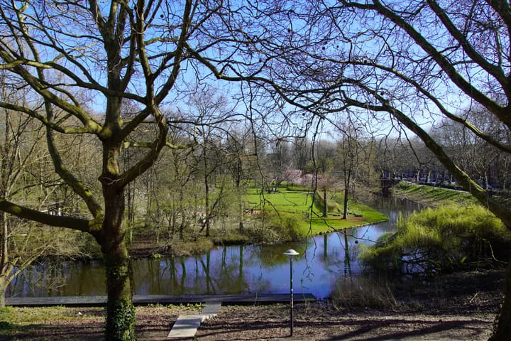 Foto 3 van Mercatorstraat 105-2