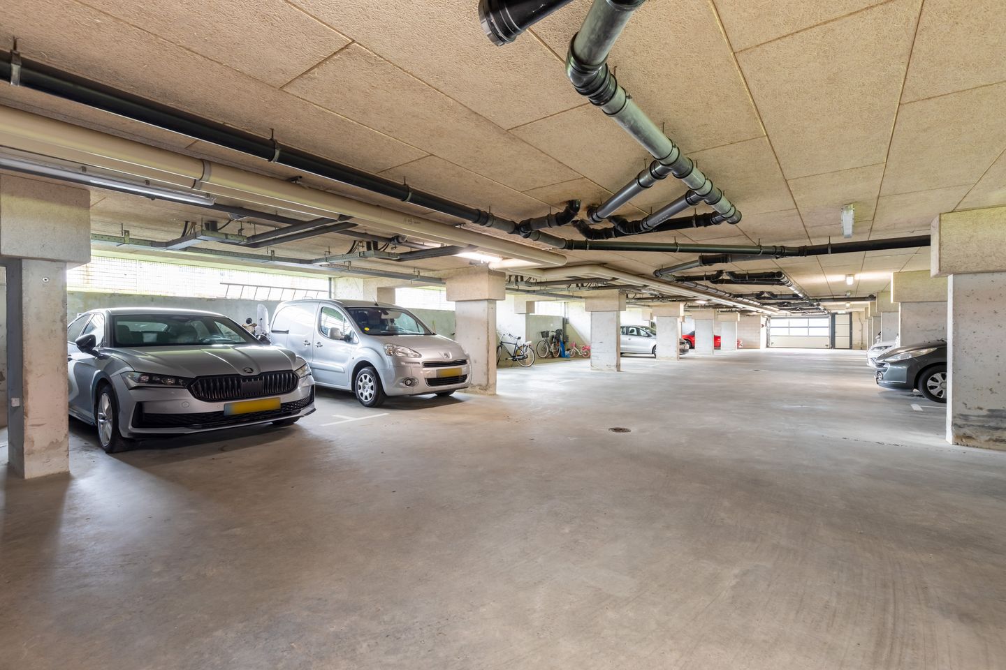 Foto 35 van Meerval 52