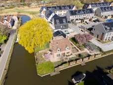 Afbeelding van Knoopkruid 54 - Tweede foto