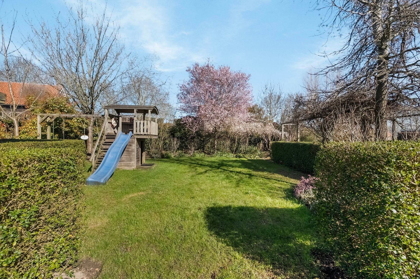 Foto 44 van Dirk Kluifhoofdstraat 15