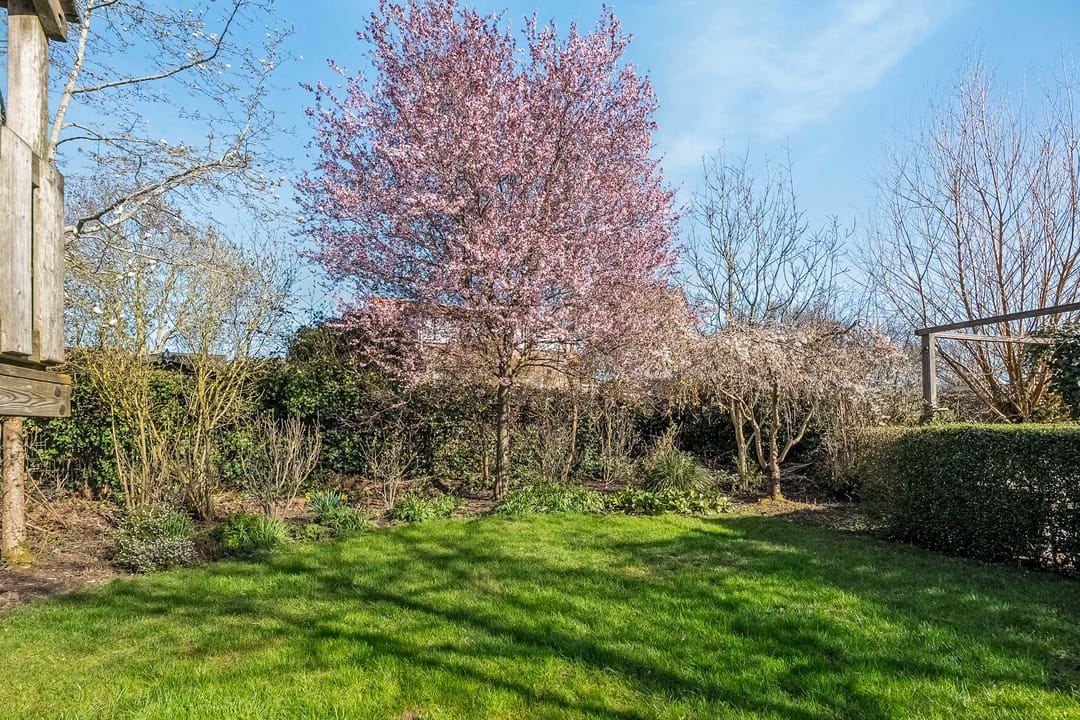 Foto 46 van Dirk Kluifhoofdstraat 15