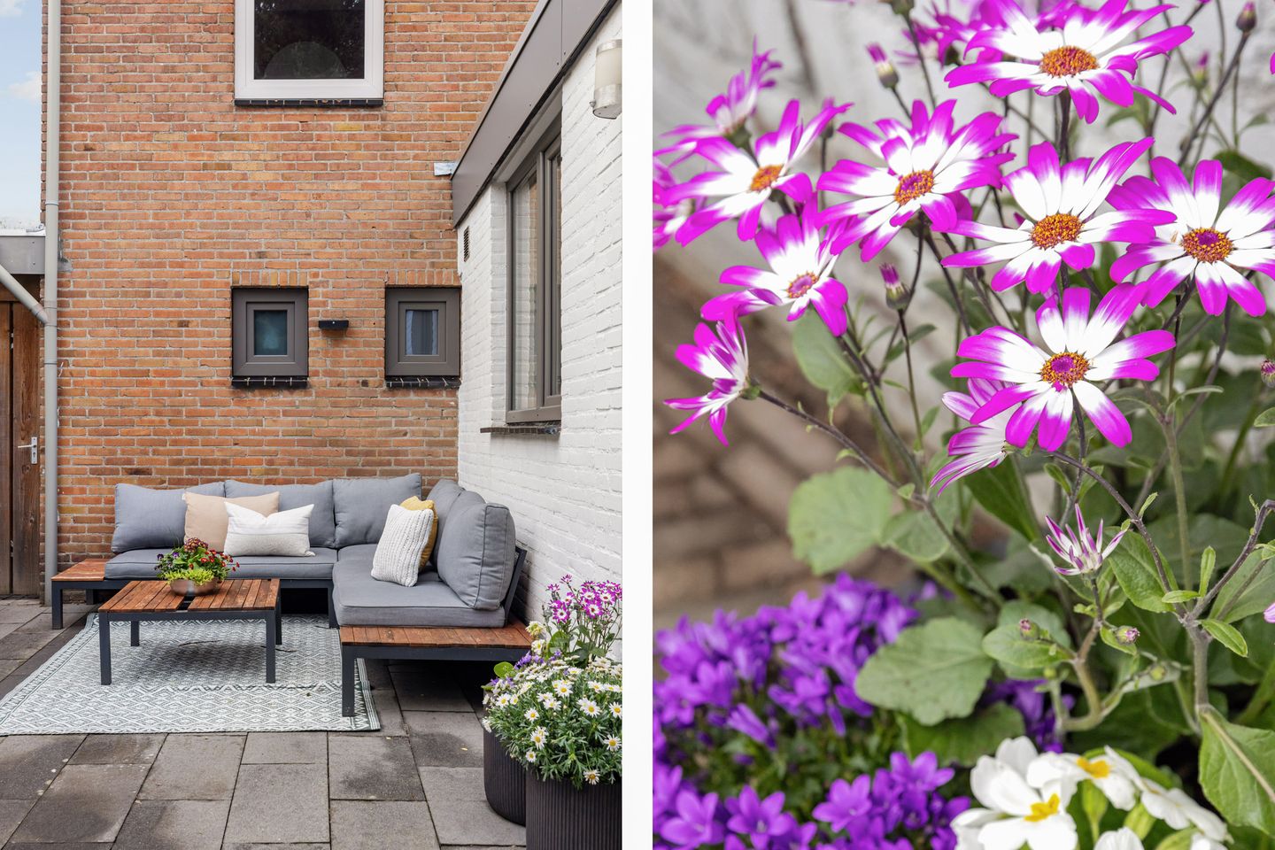 Foto 29 van Hofstad 1