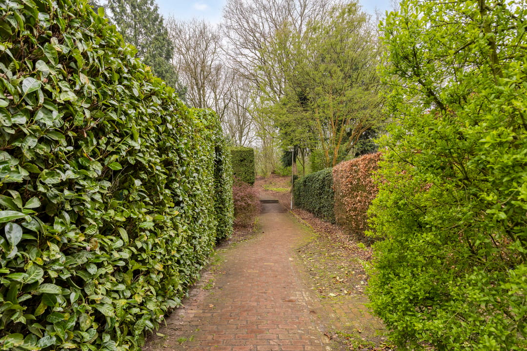 Spacious bungalow with five bedrooms, sauna, and south-facing garden near Wilhelminaplein — 57