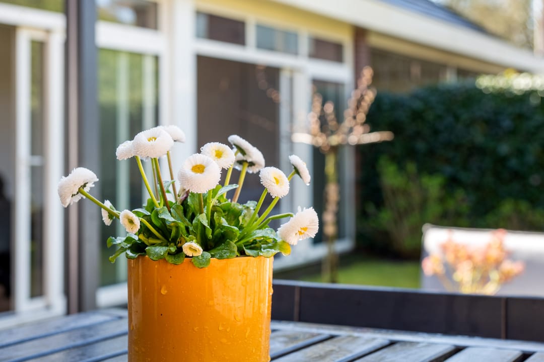 Photo 41 of Kapeldreef 10