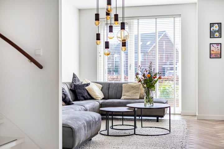 Photo 3 of Schutsboom 20