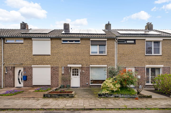 Nedermaaslaan 36