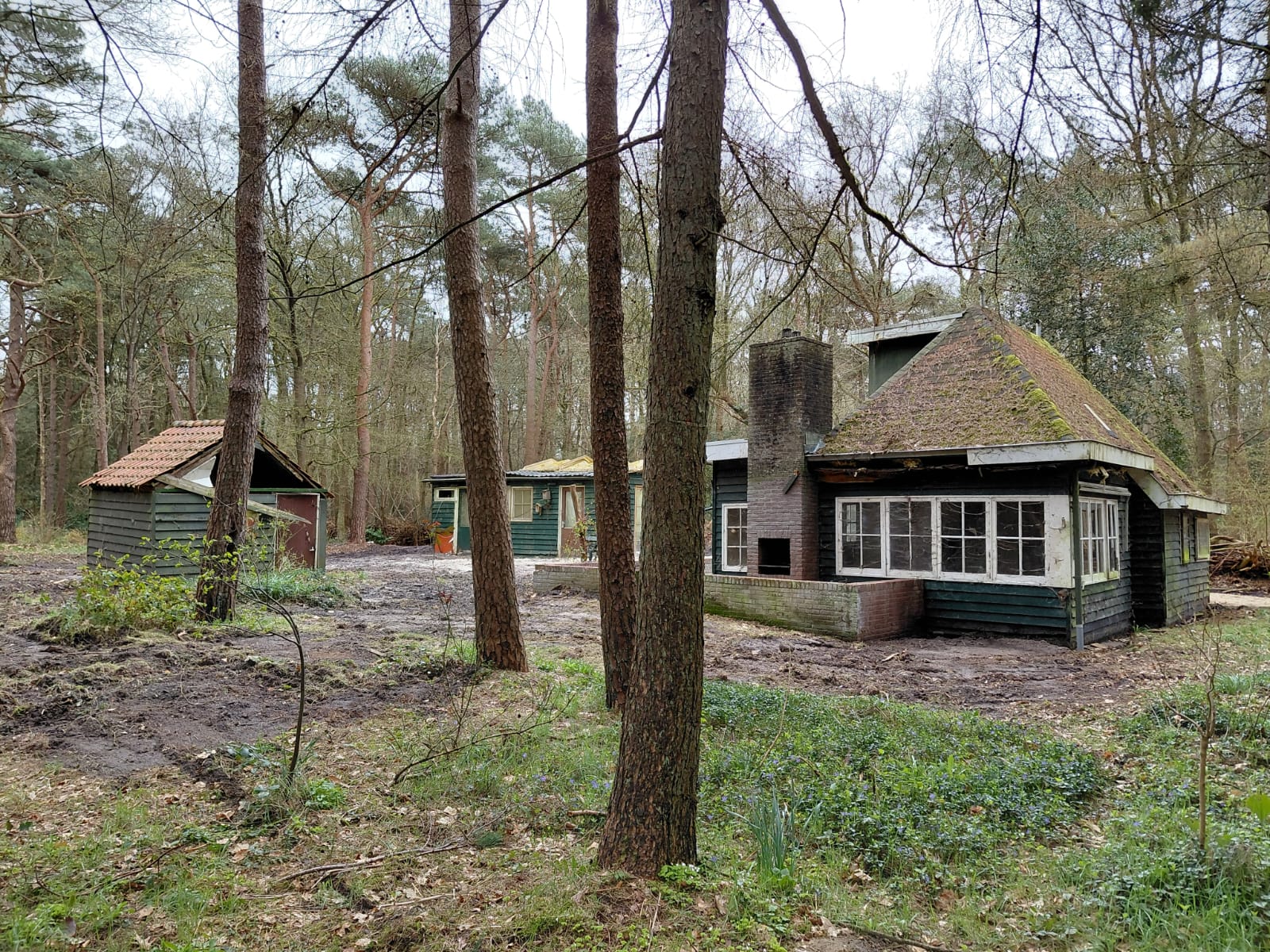 studio freehold villa in Norg — photo 3 of 5