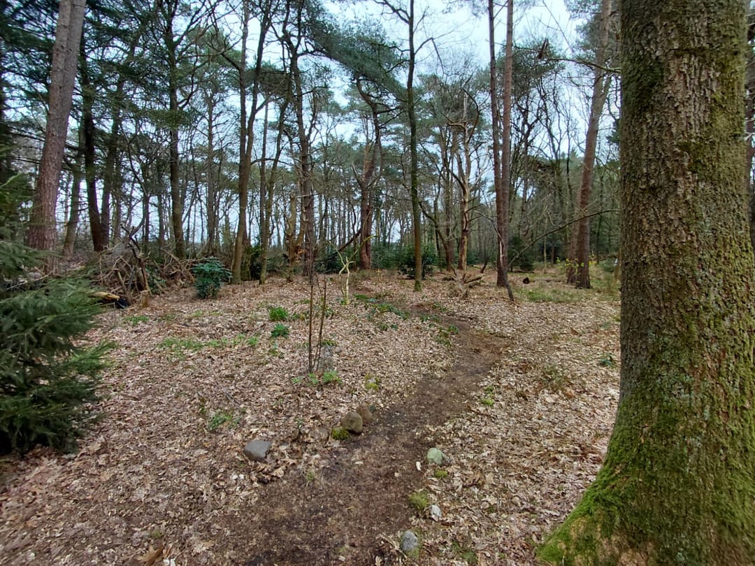Foto 22 van Langeloërduinen G 15
