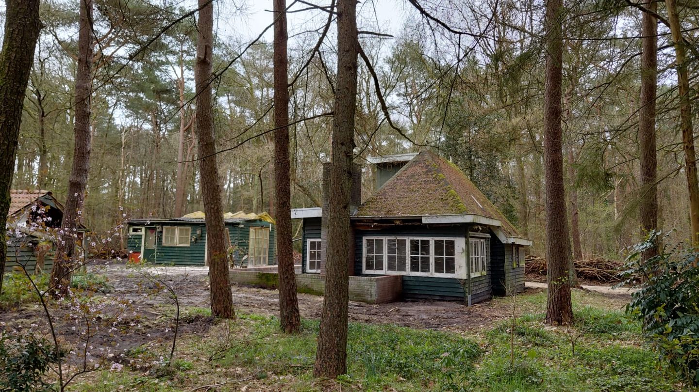 Foto 29 van Langeloërduinen G 15