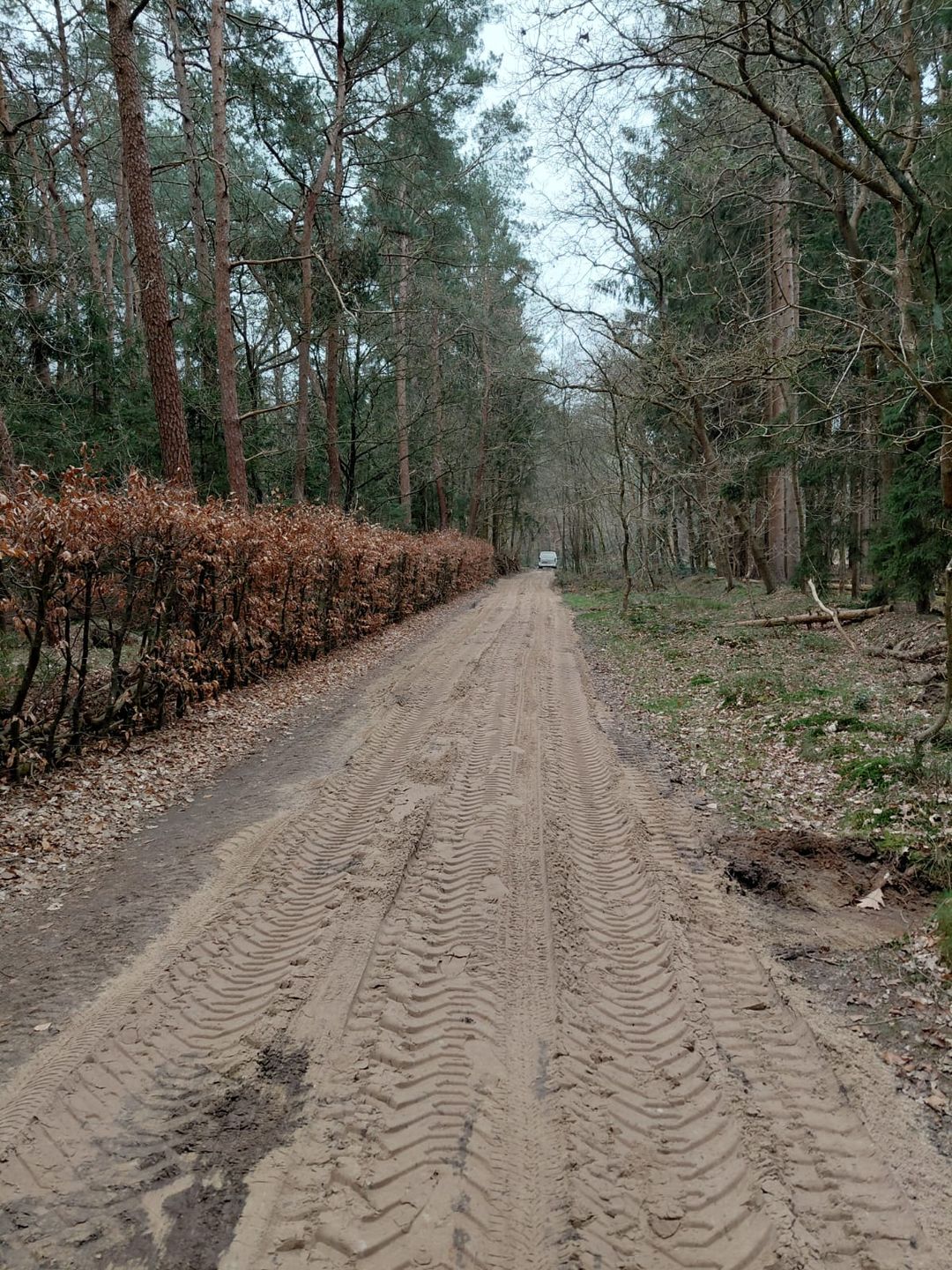 Foto 37 van Langeloërduinen G 15