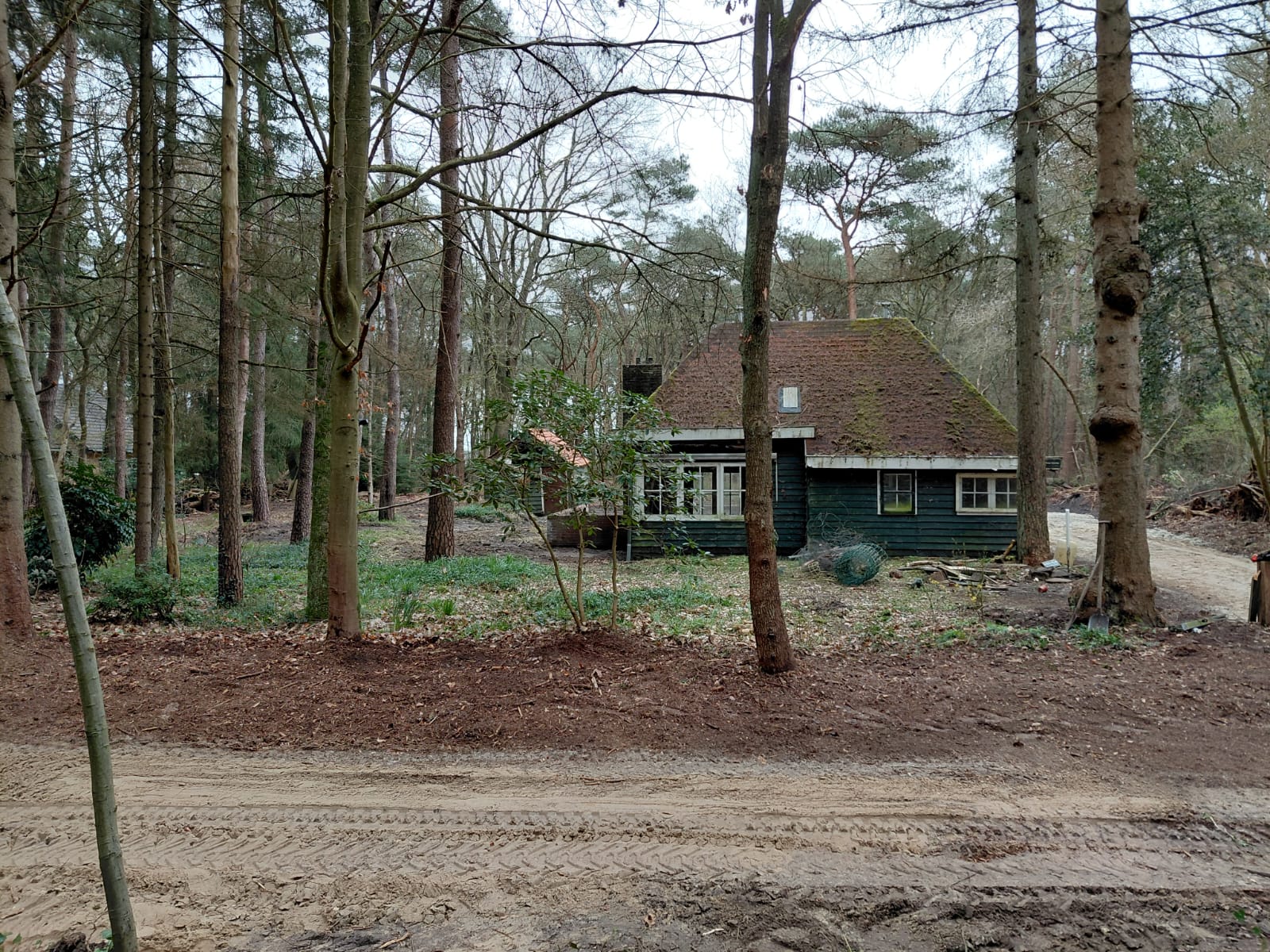 Foto 30 van Langeloërduinen G 15