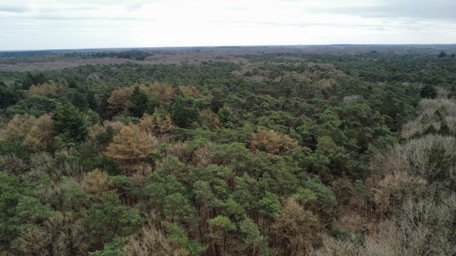 Foto 36 van Langeloërduinen G 15