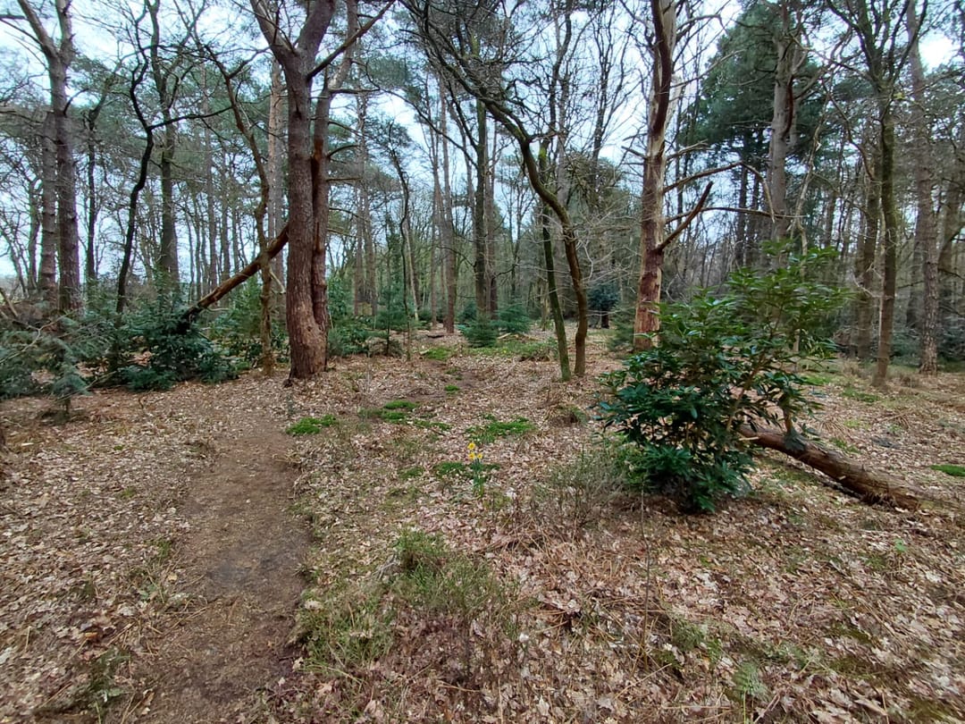 Foto 32 van Langeloërduinen G 15
