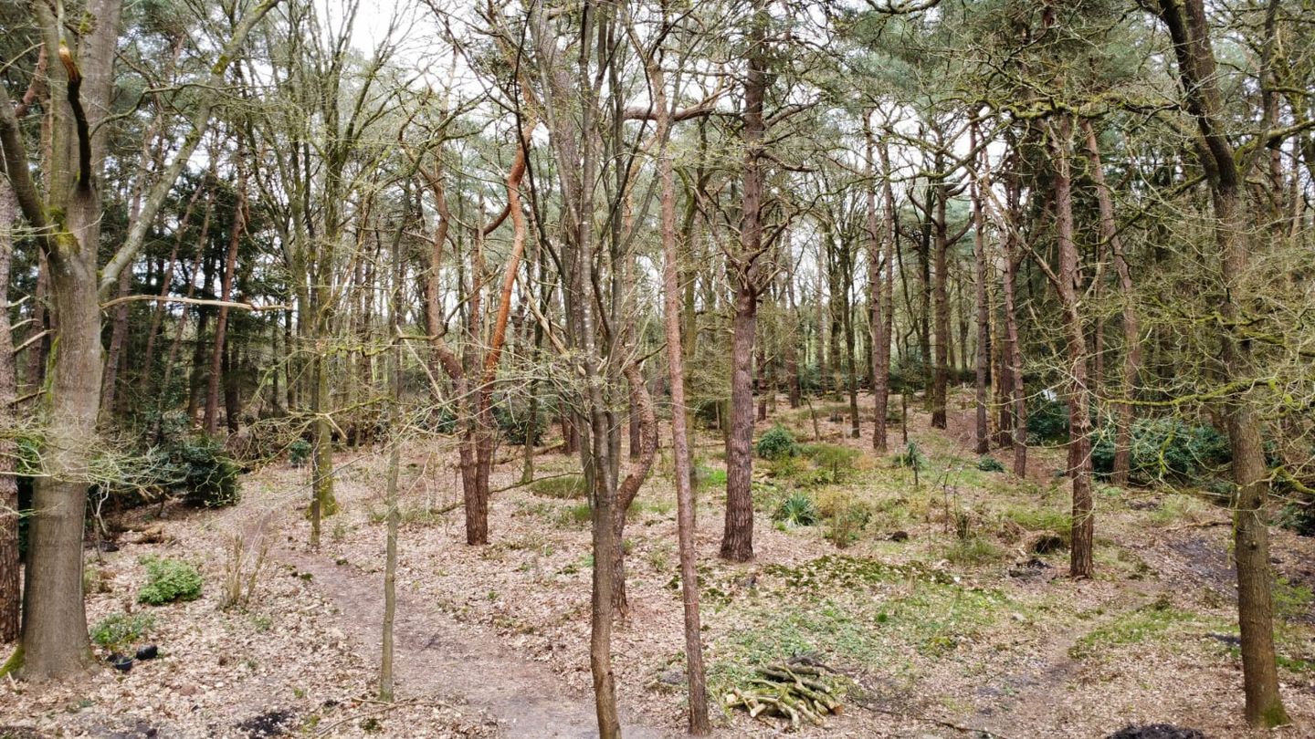 Foto 25 van Langeloërduinen G 15