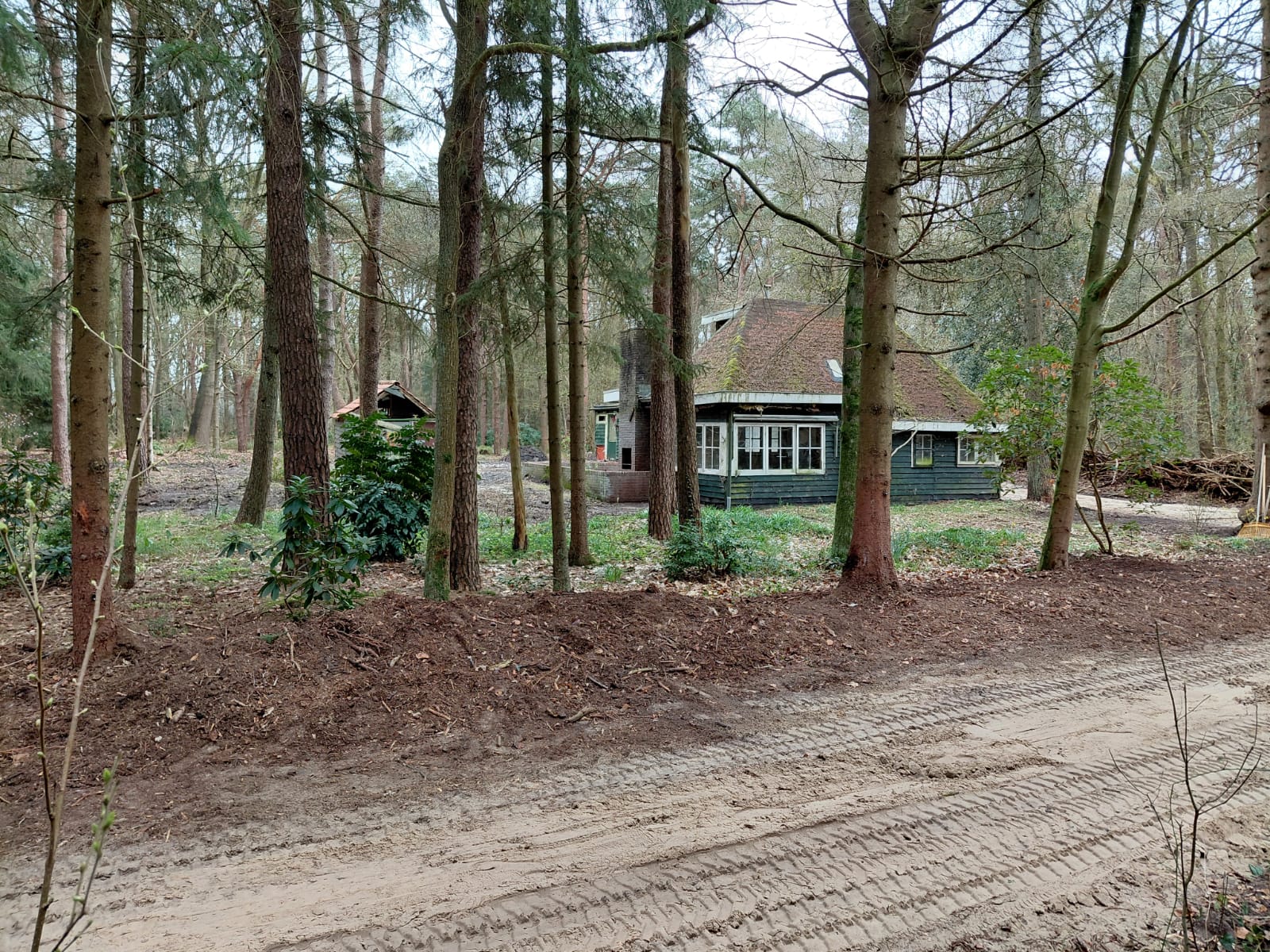 Foto 6 van Langeloërduinen G 15