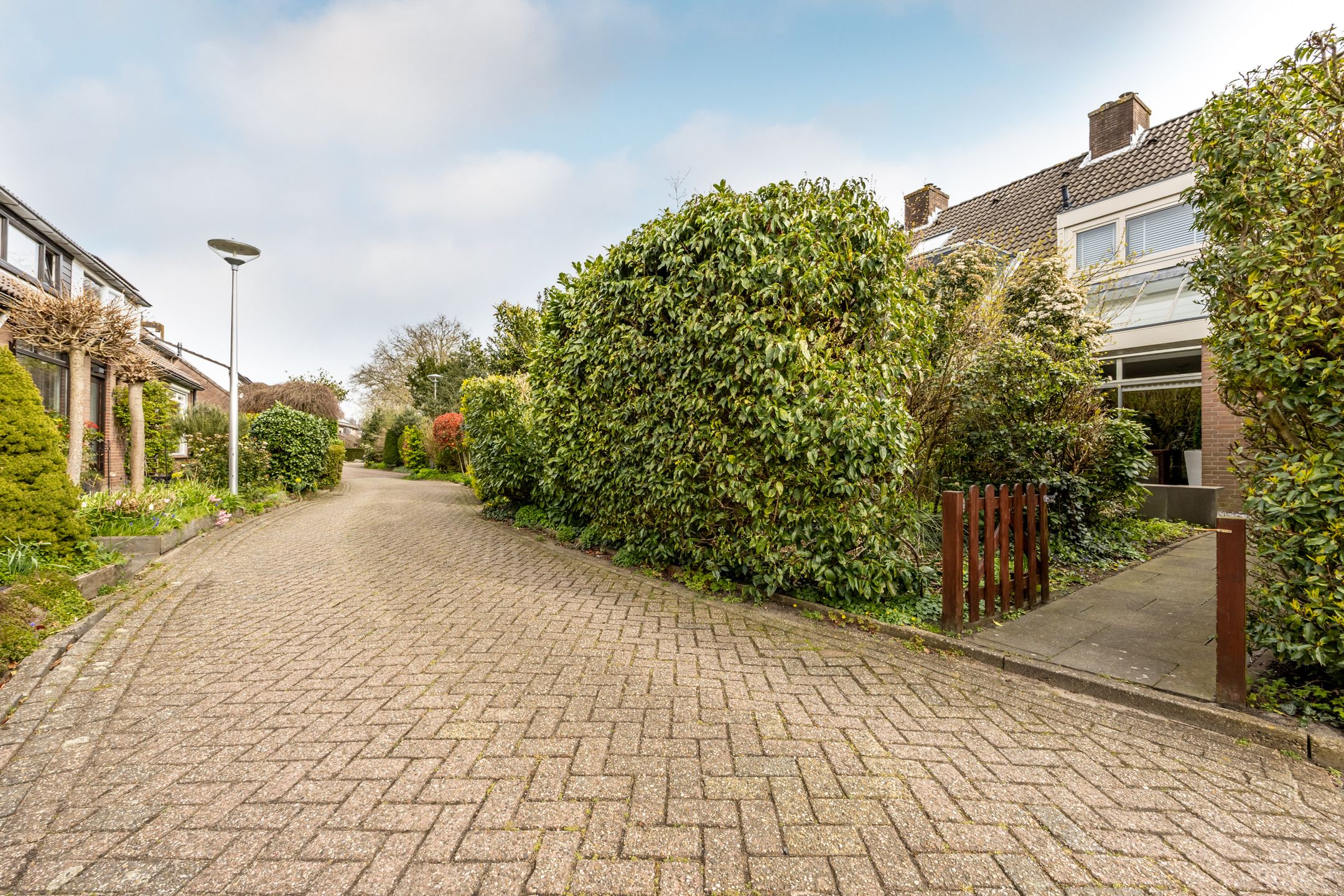 Photo 39 of Abraham van der Hulstln 74