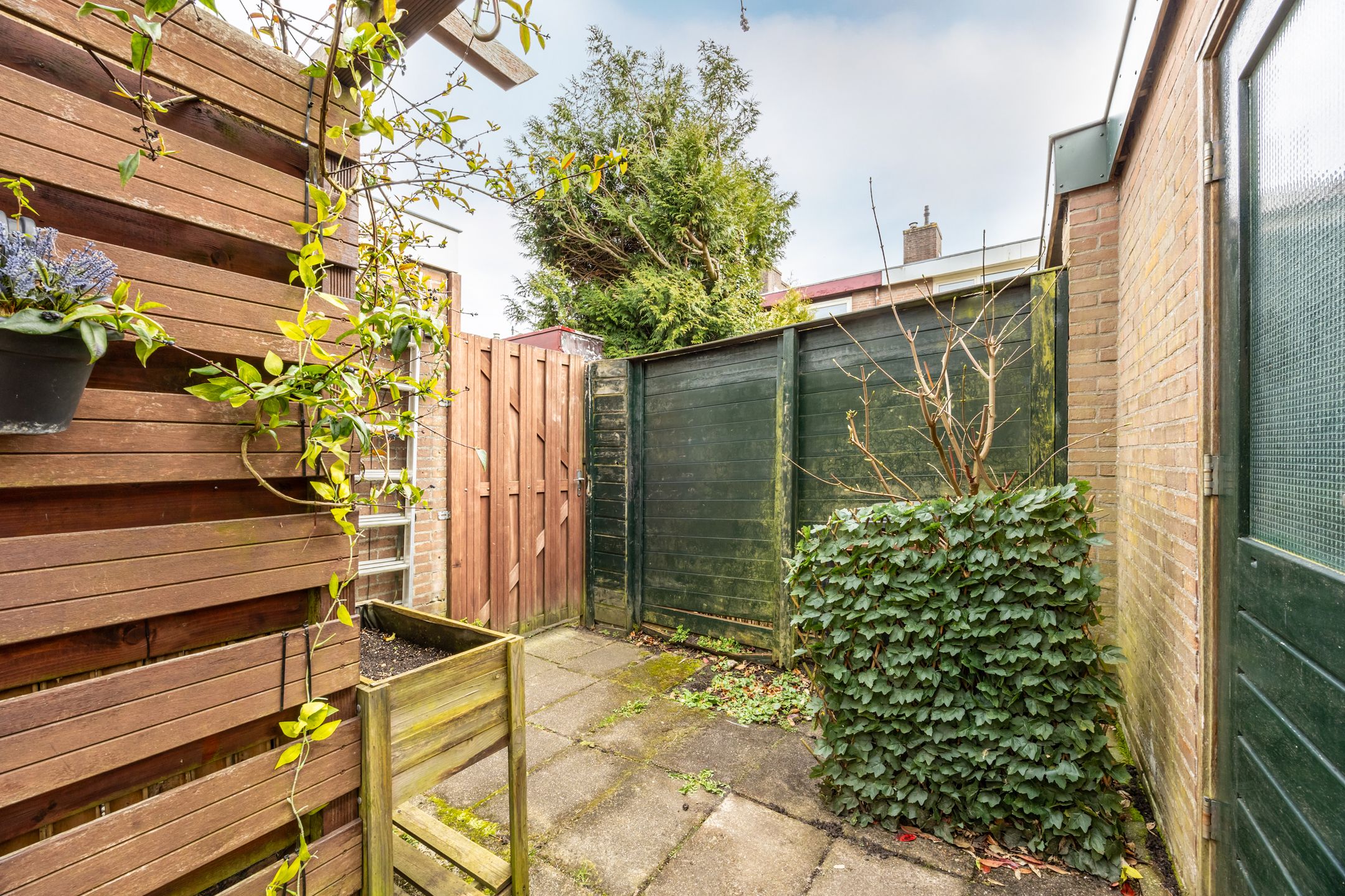 Photo 21 of Abraham van der Hulstln 74