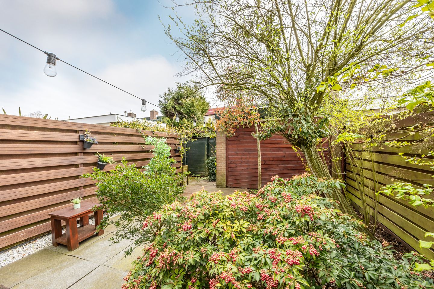 Photo 19 of Abraham van der Hulstln 74