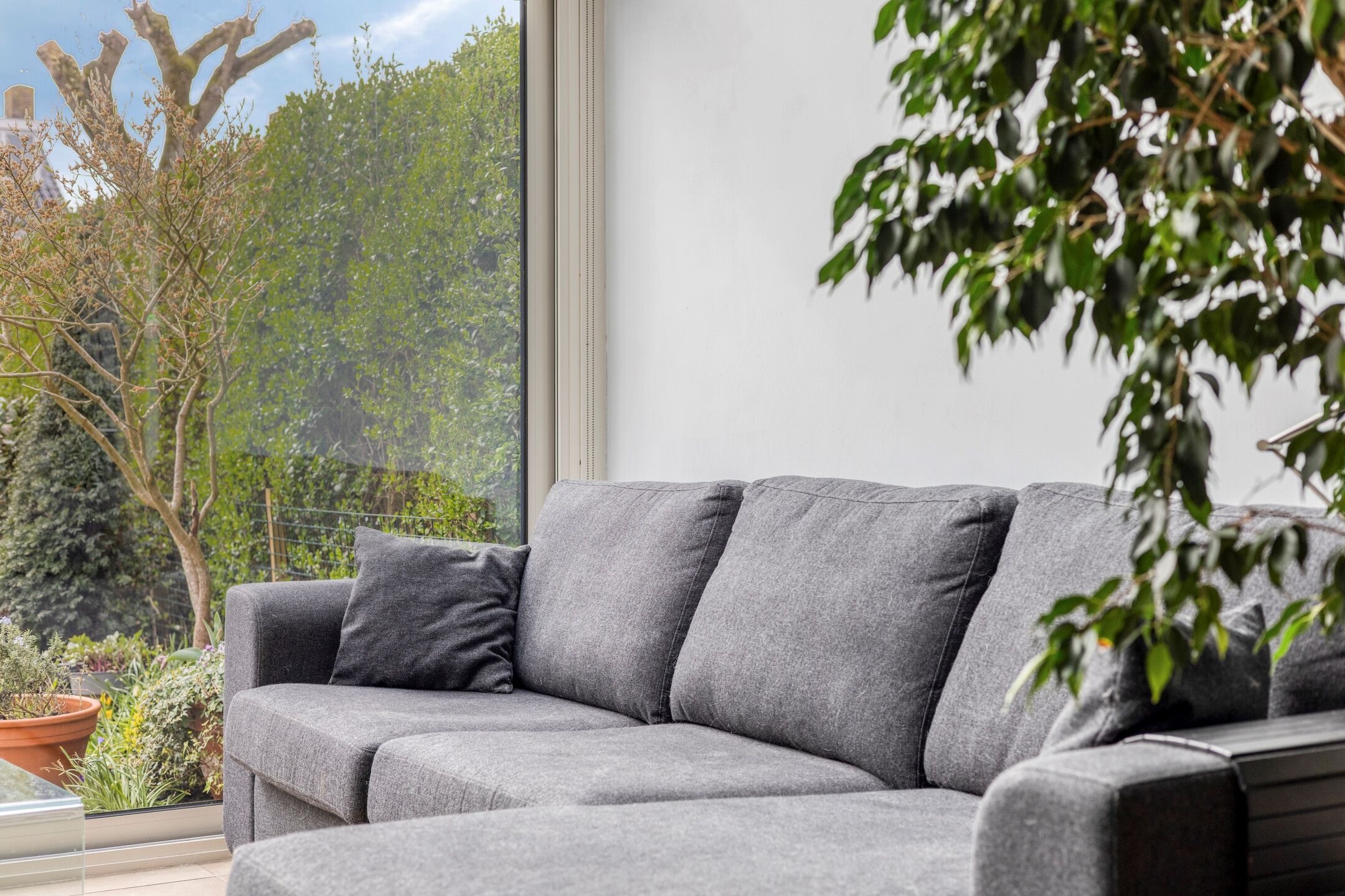 Foto 21 van Johan Willem Frisolaan 51