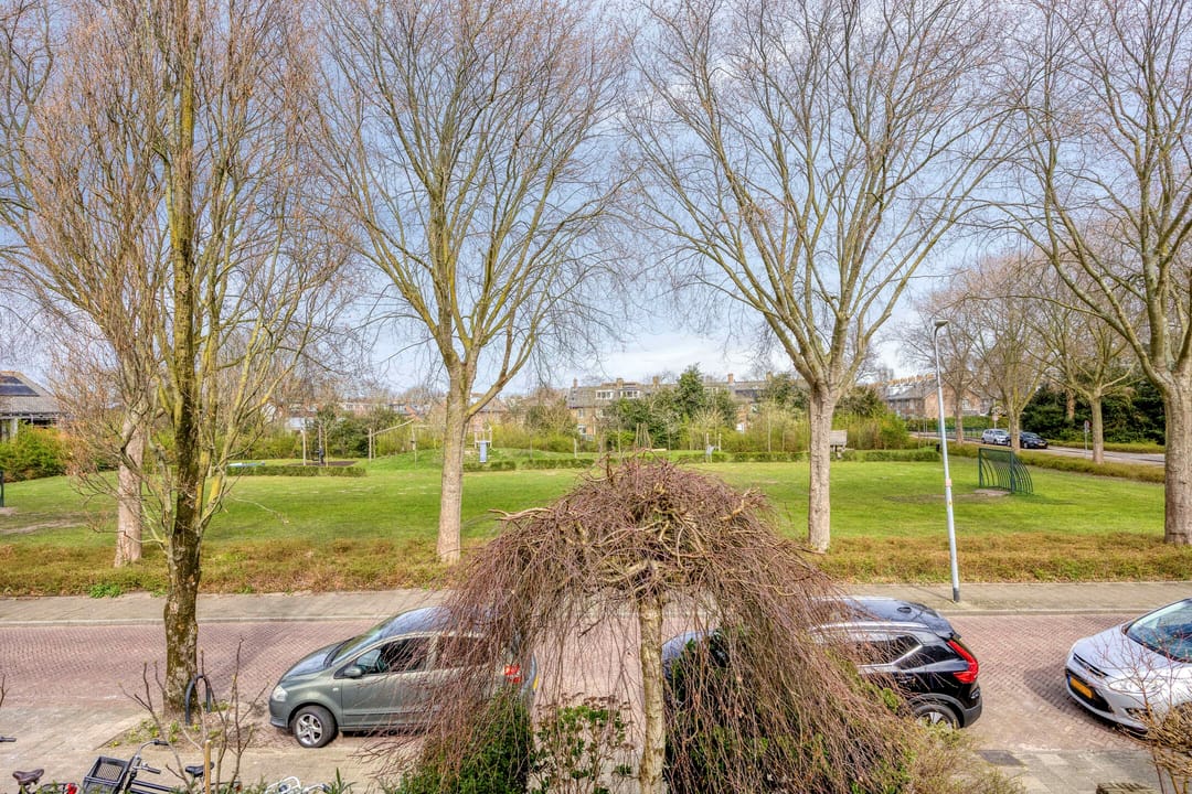 Foto 52 van Johan Willem Frisolaan 51