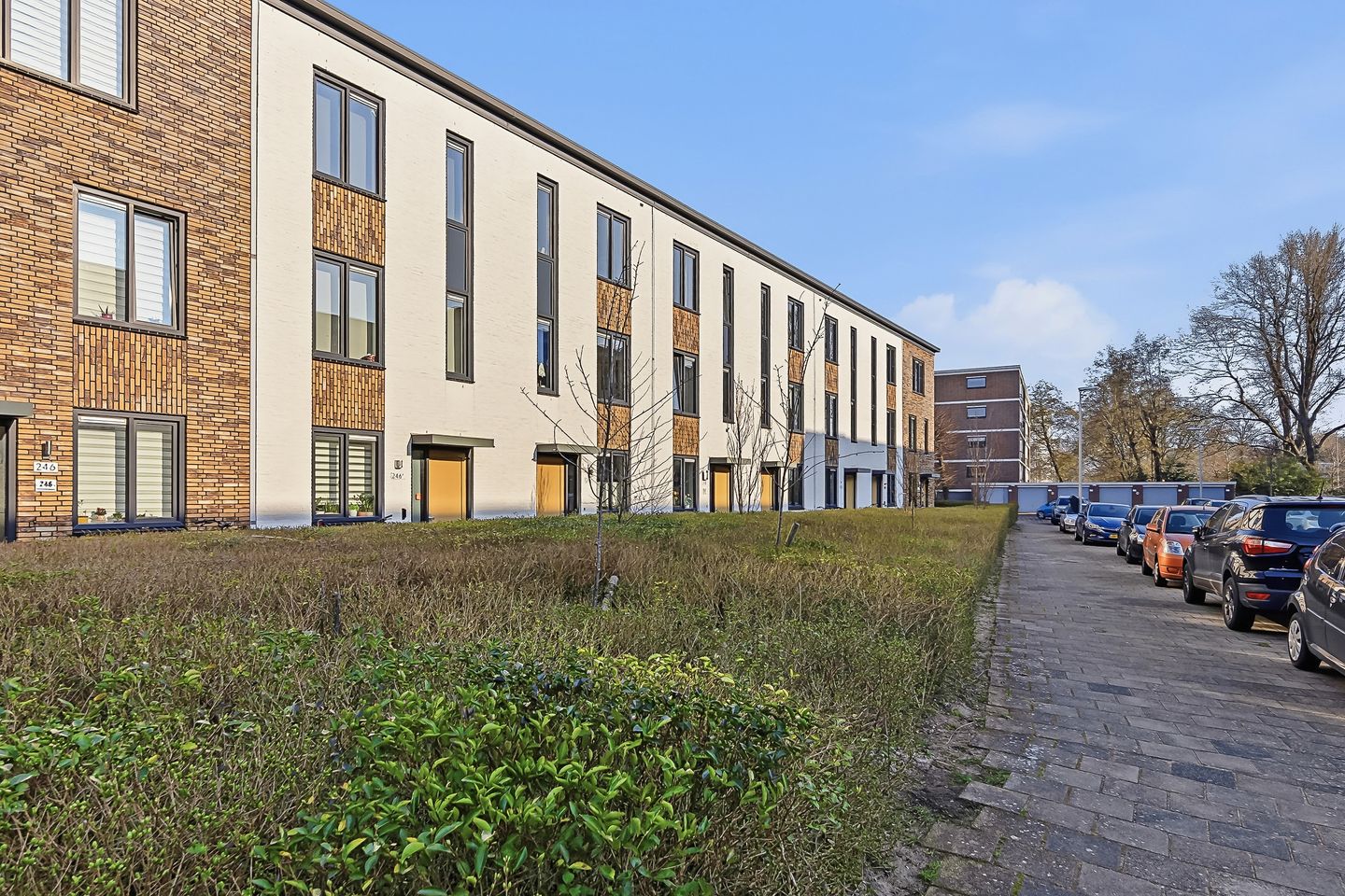 Foto 50 van Haverkamp 248