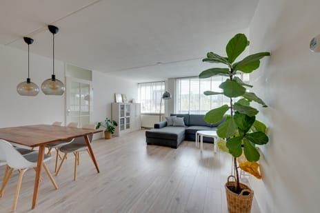 Zeezigt 258 tertiary image