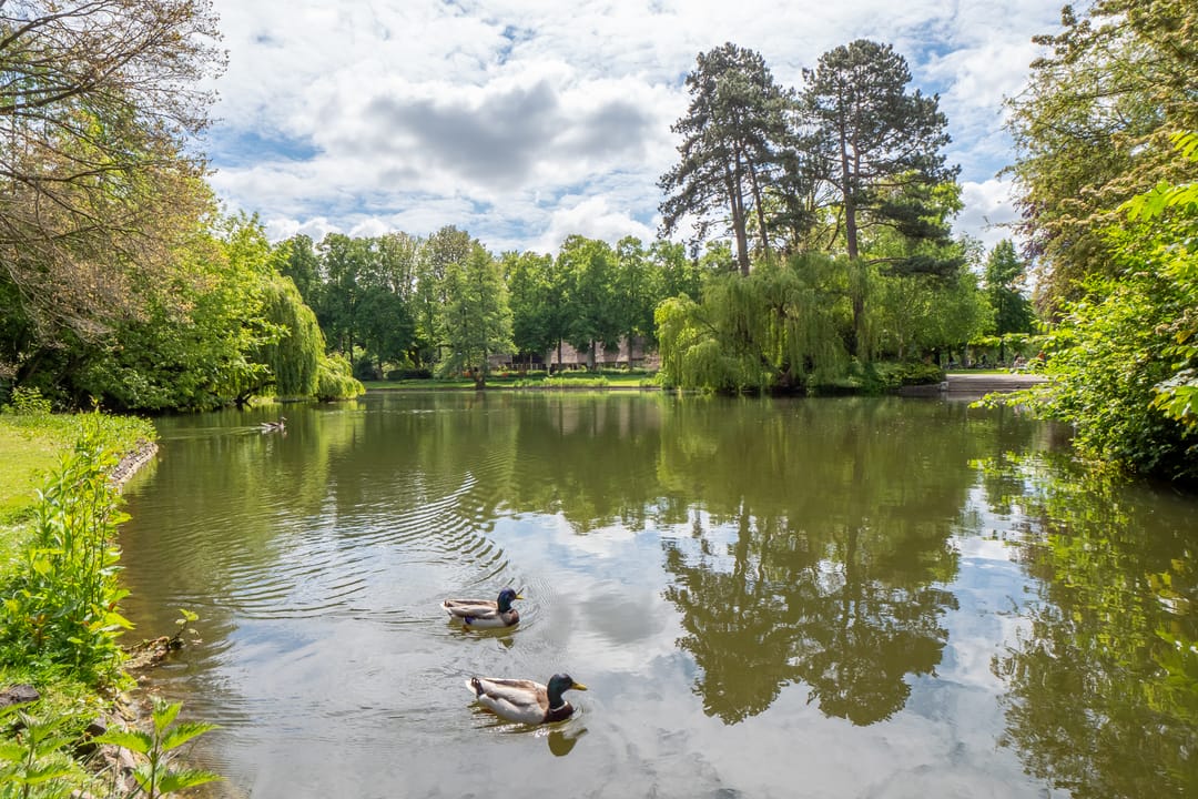 Foto 43 van Homeruslaan 24