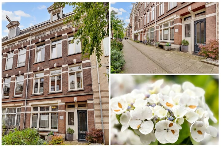 Tweede Jan Steenstraat 35-H