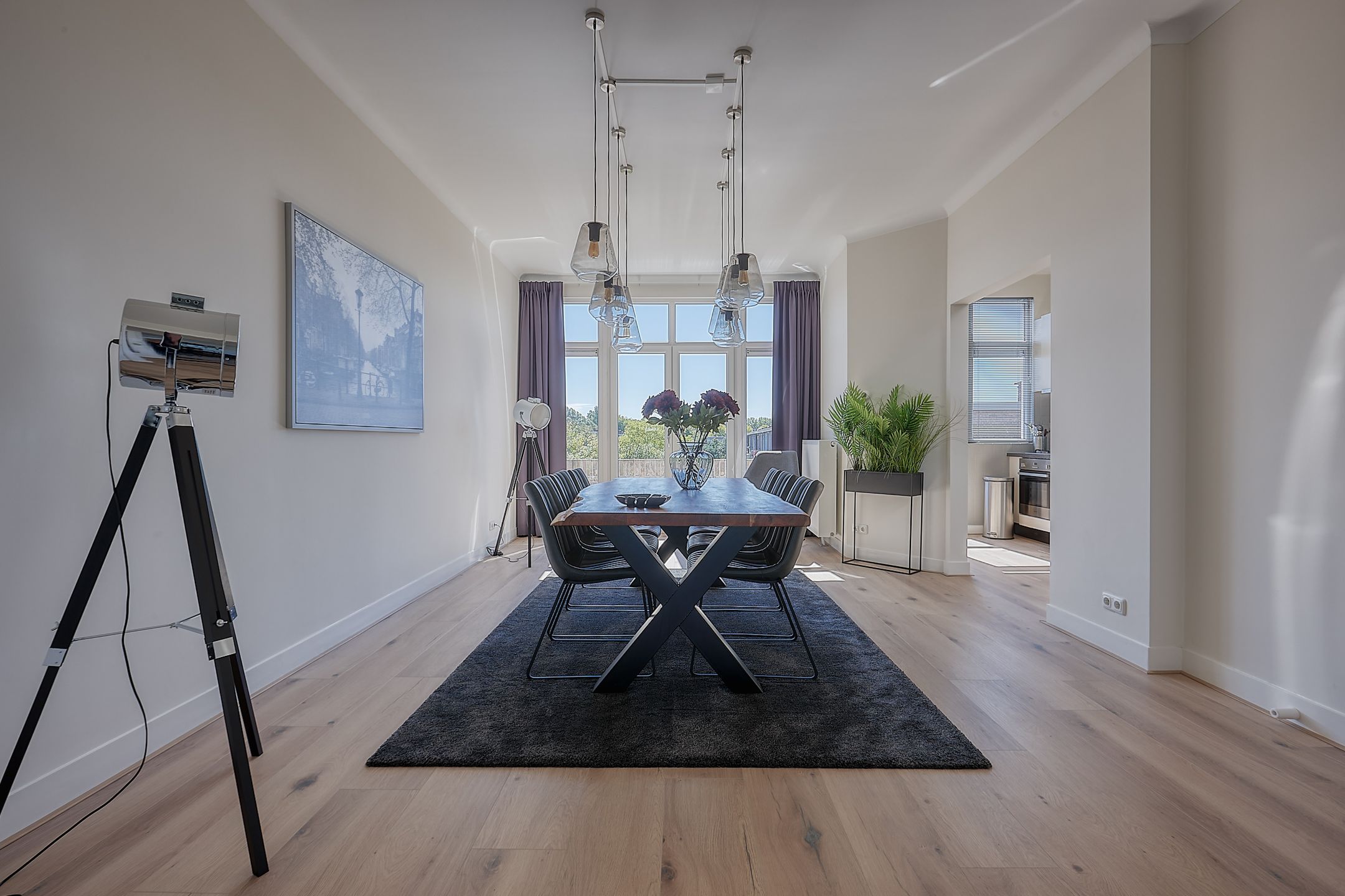 Foto 3 van De Eerensplein 21