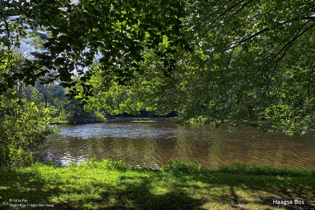 Foto 38 van De Eerensplein 21