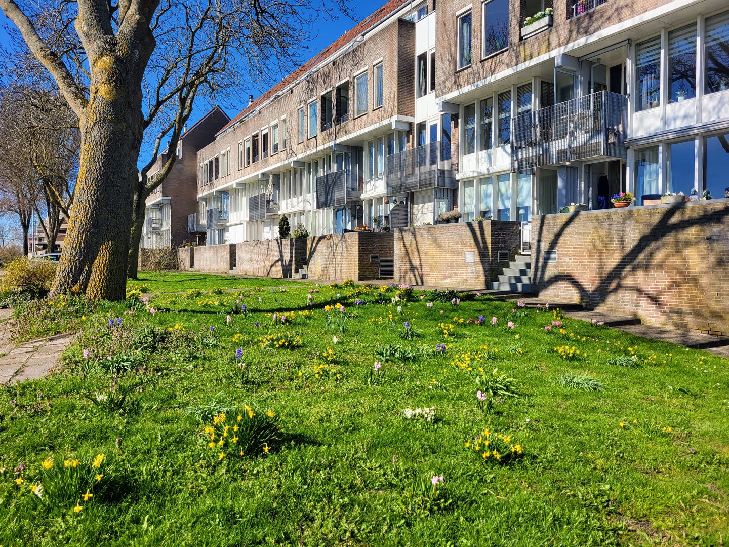 Foto 19 van Schans 140