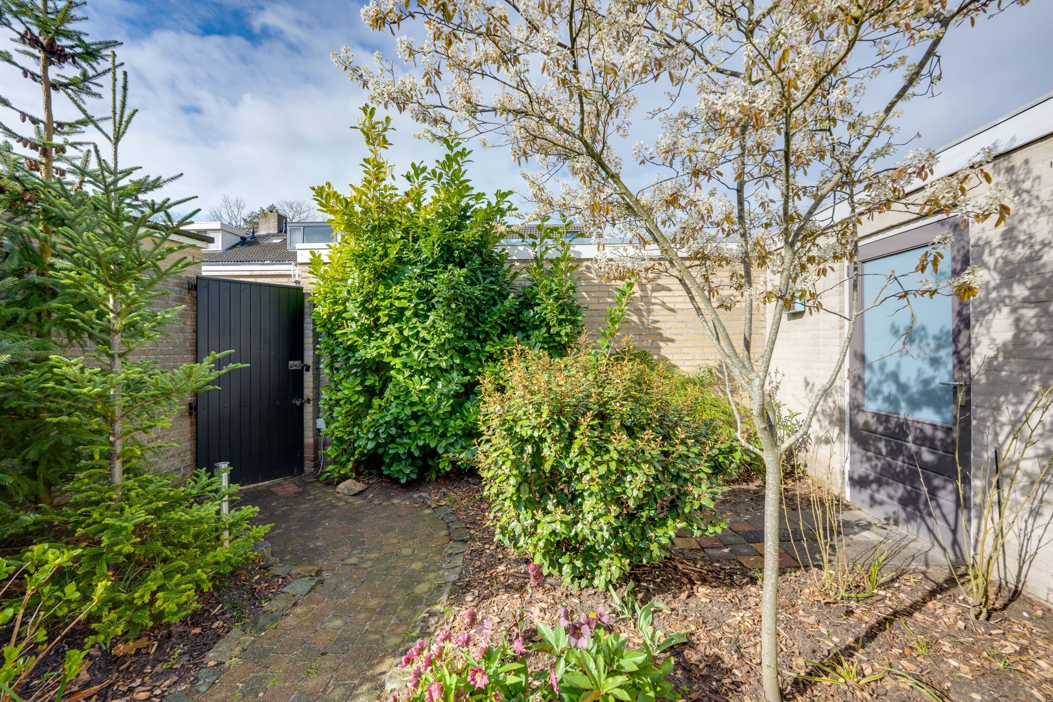 Photo 48 of Heemskerkstraat 19