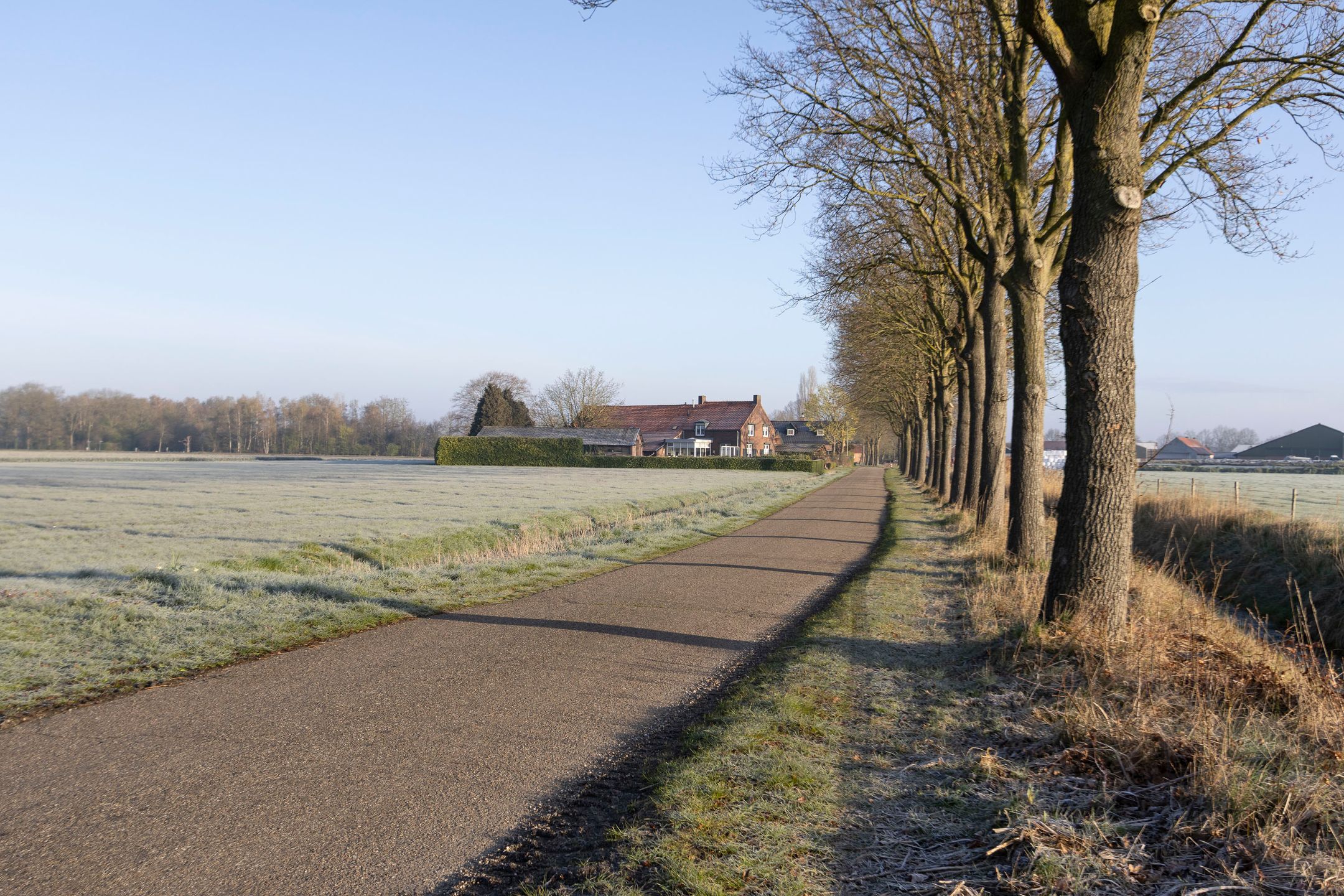 Photo 48 of Wisbroek 1