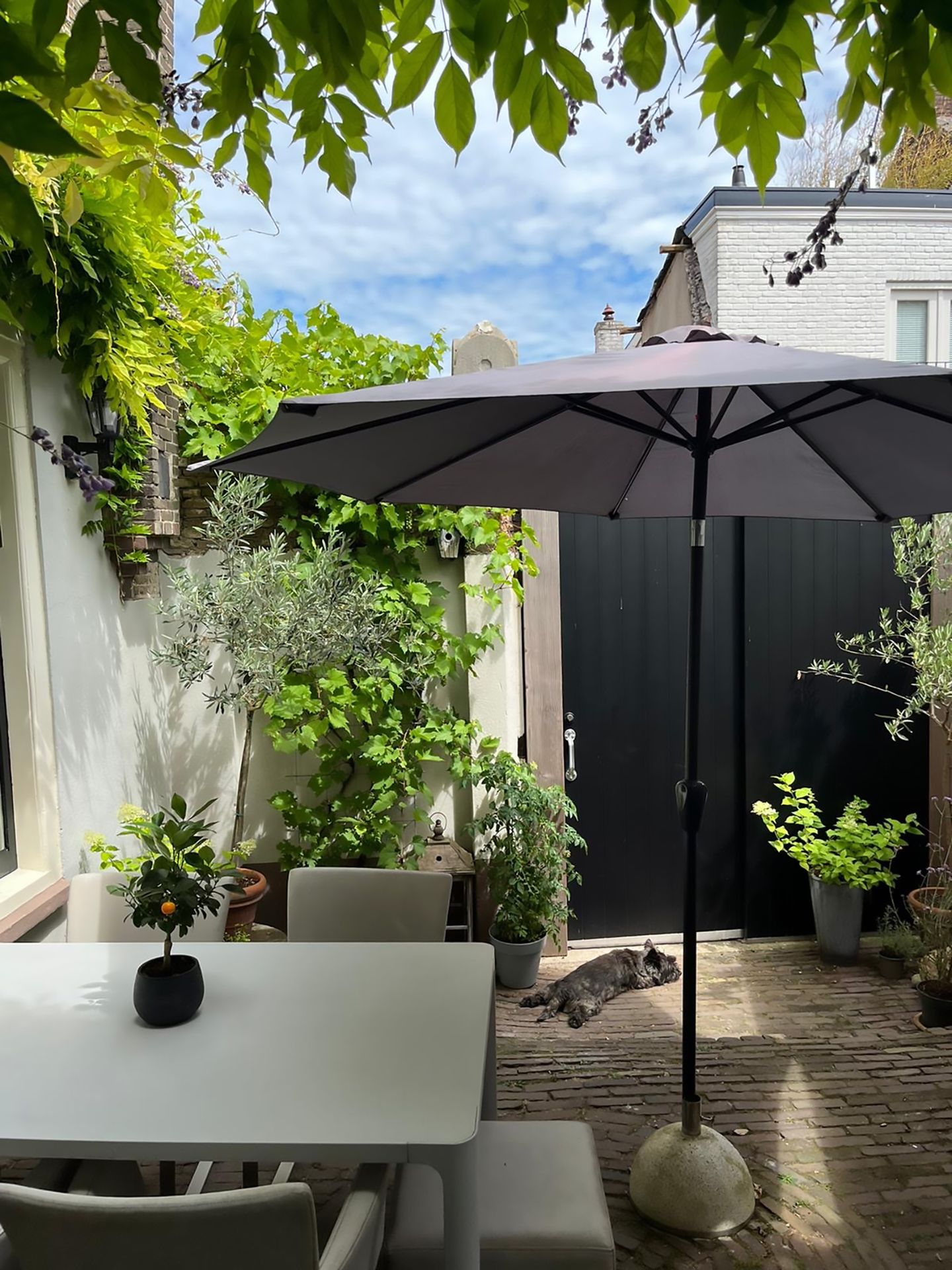 Photo 14 of Nieuwstraat 2