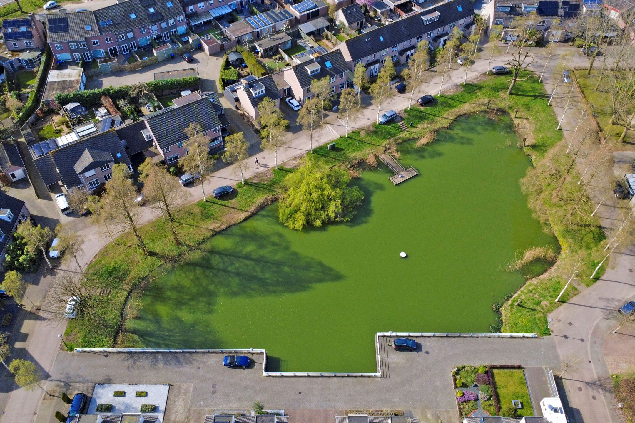 Foto 39 van Wegedoorn 116