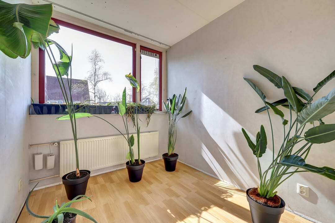 Foto 22 van Wegedoorn 116