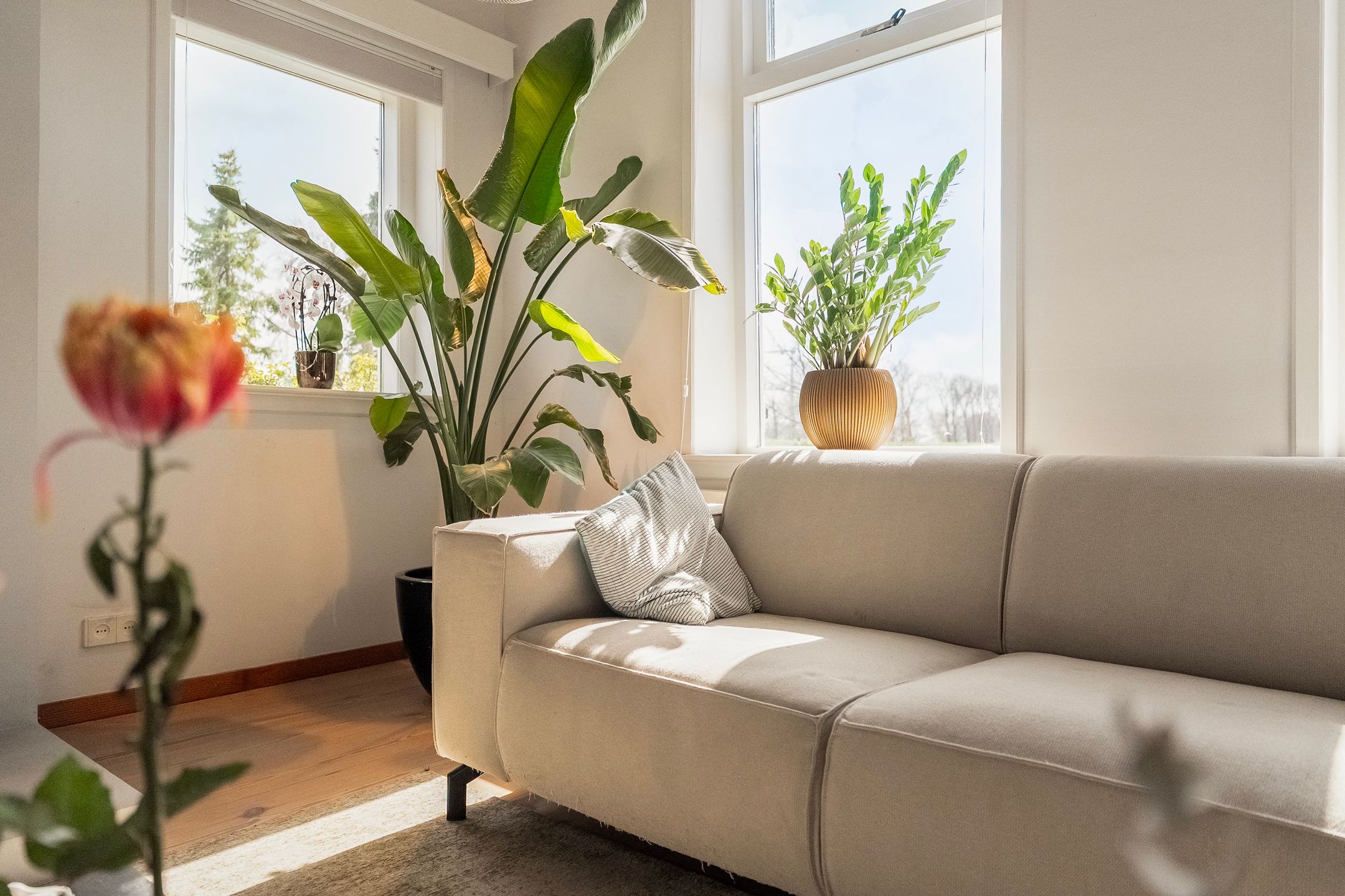 Photo 12 of Schenkeldijk 82