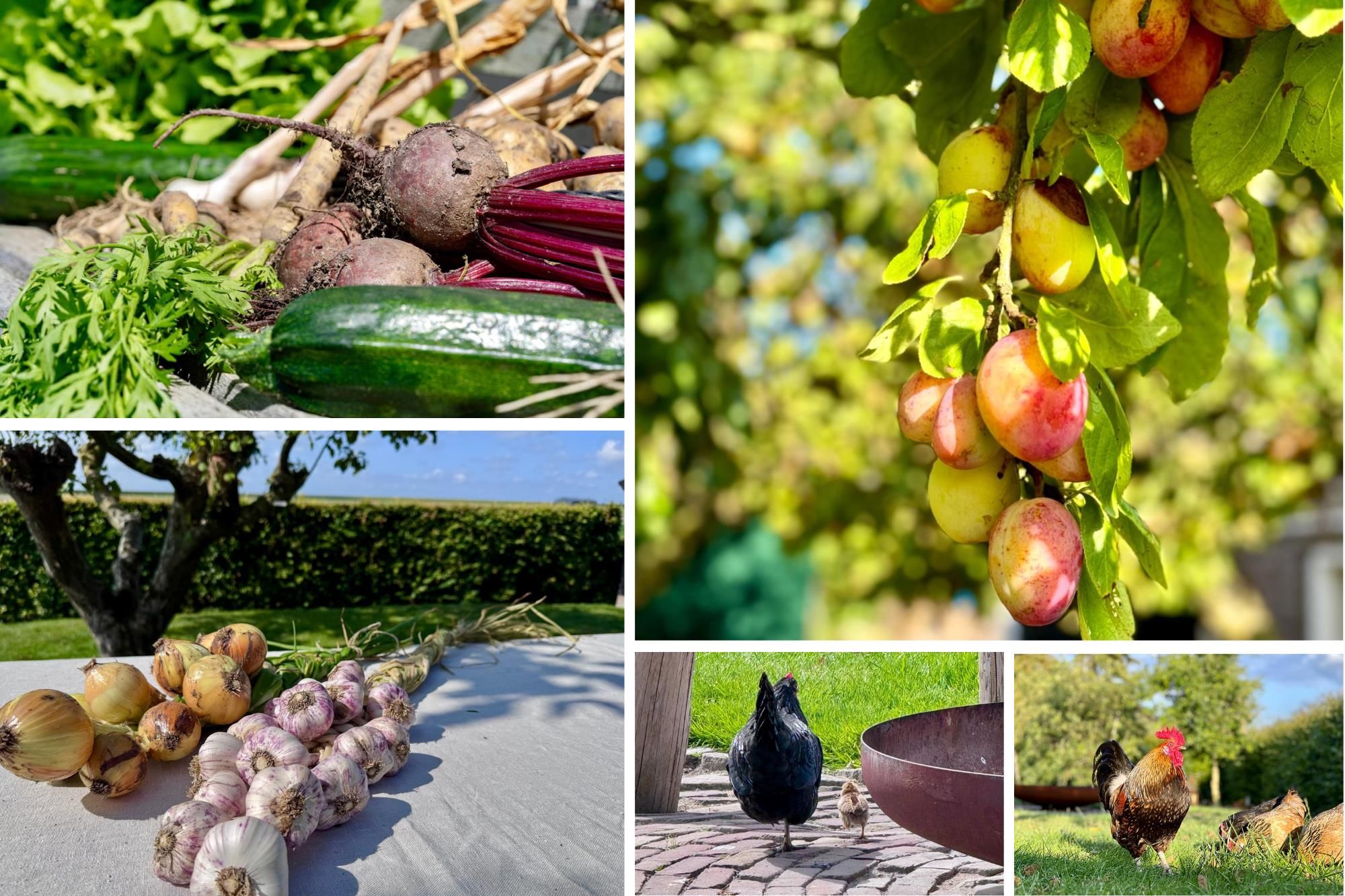 Photo 72 of Schenkeldijk 82