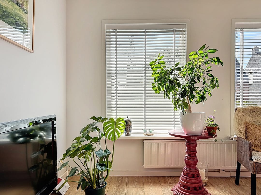 Foto 7 van Brouwerijstraat 34