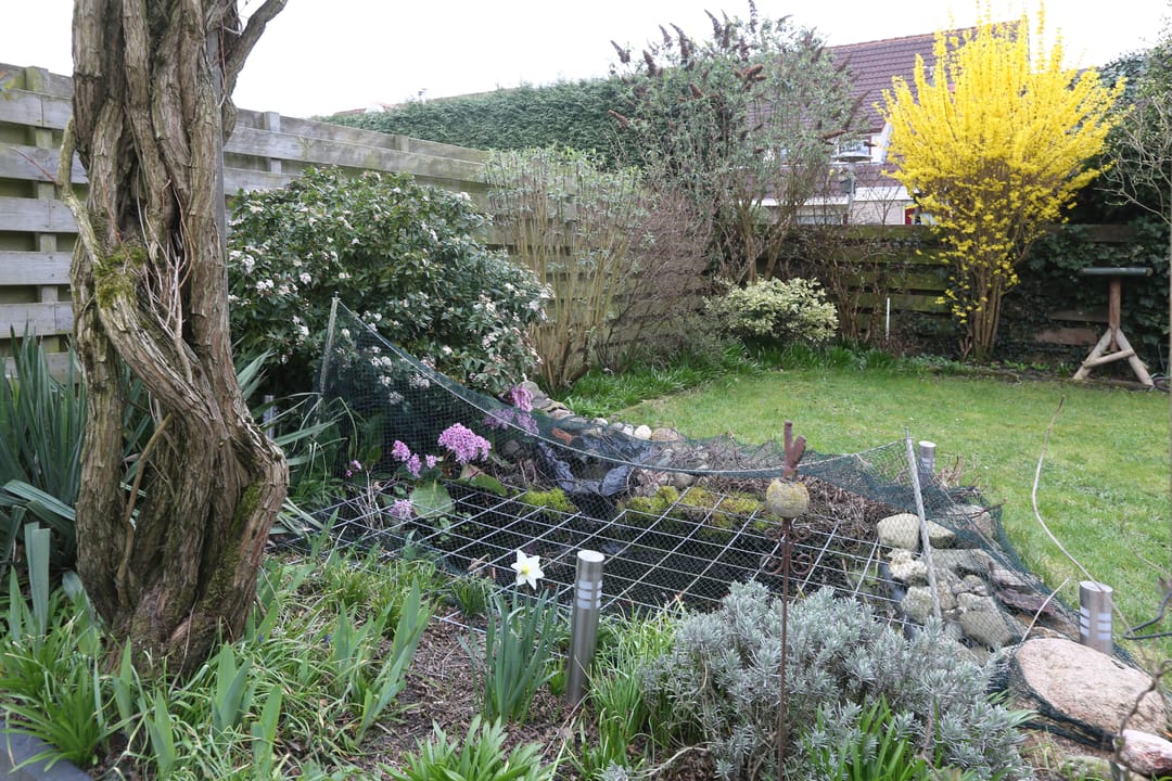 Foto 31 van It Heideloantsje 53-A