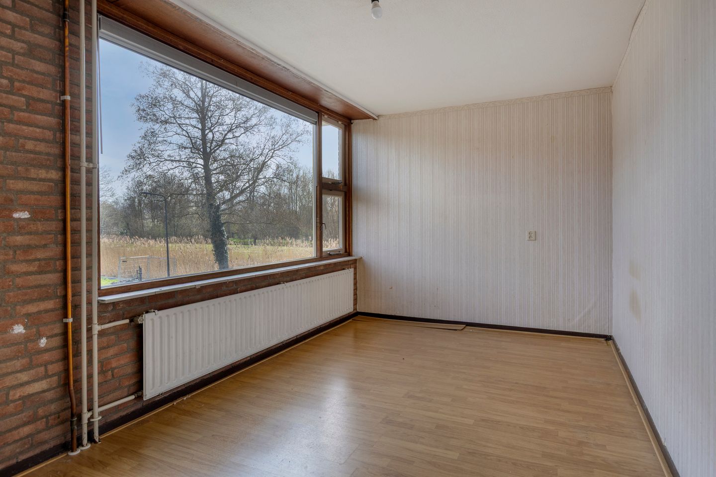 Foto 5 van Beukenrode 2