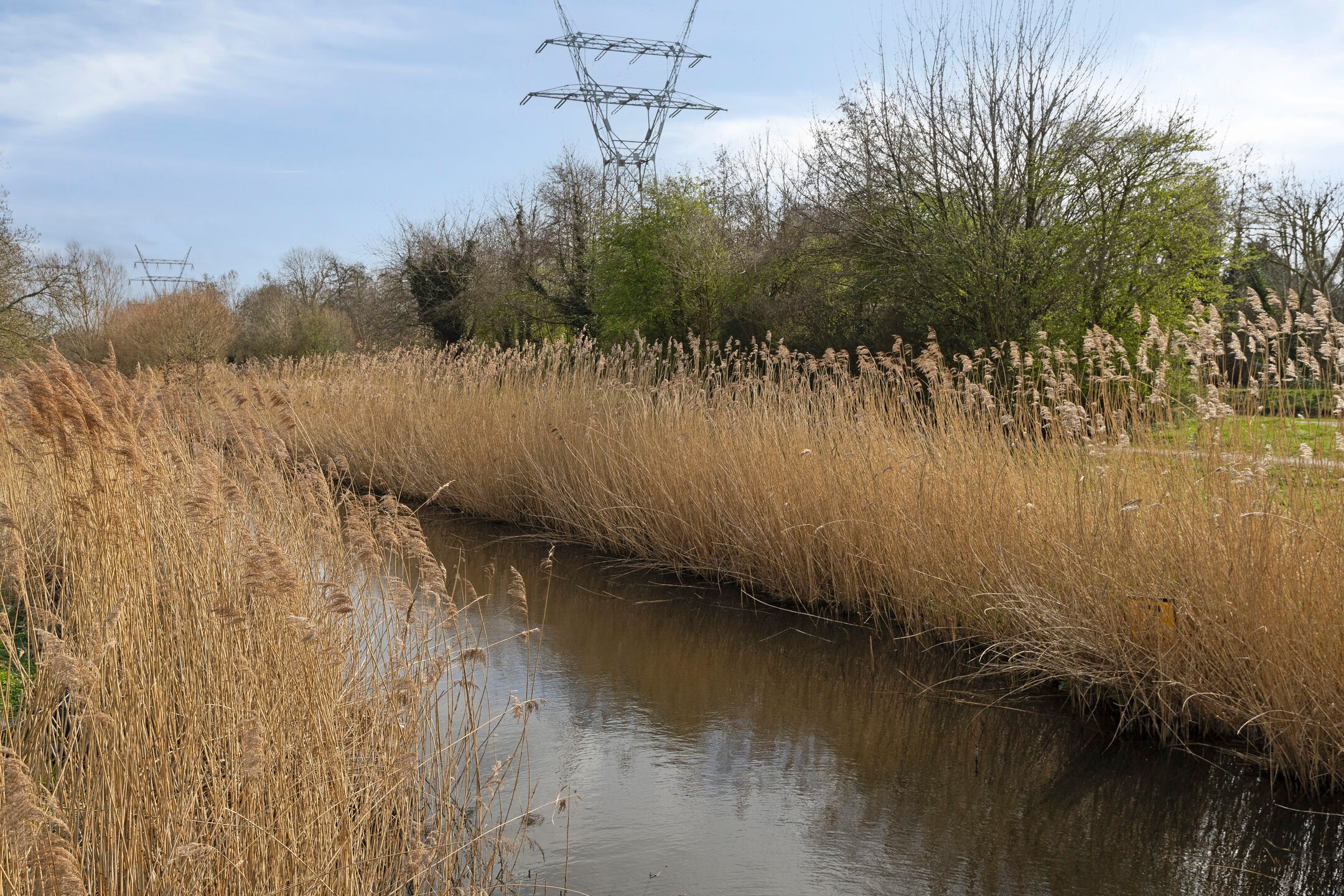 Foto 39 van Beukenrode 2