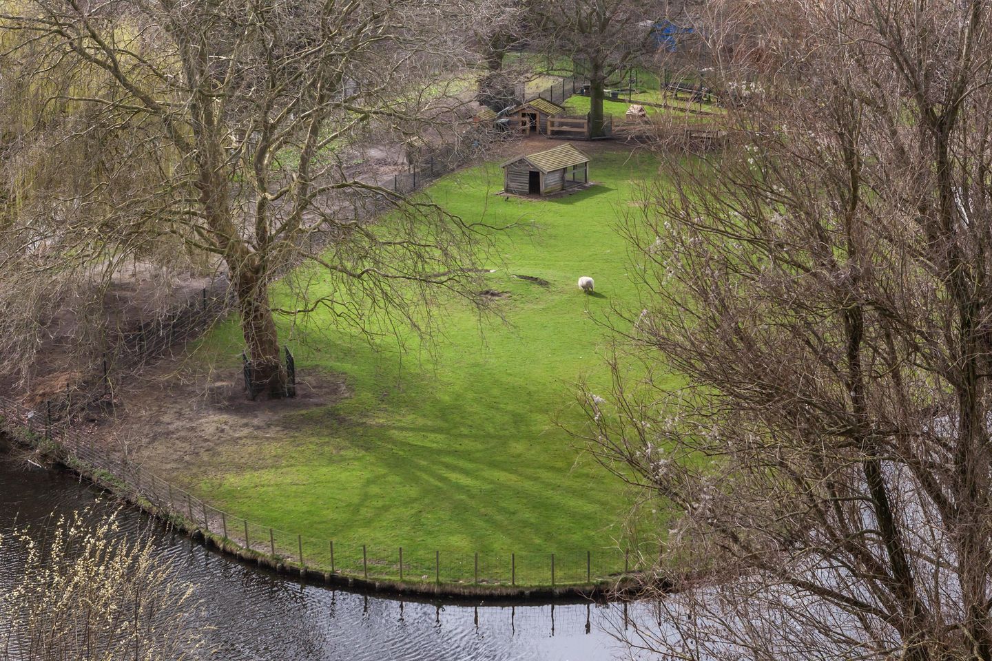 Foto 34 van Jacques Urlusplantsoen 367