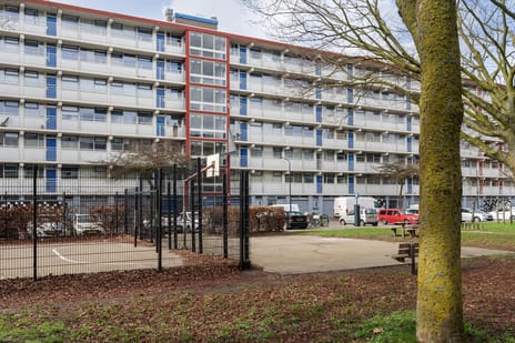 Jacques Urlusplantsoen thumbnail