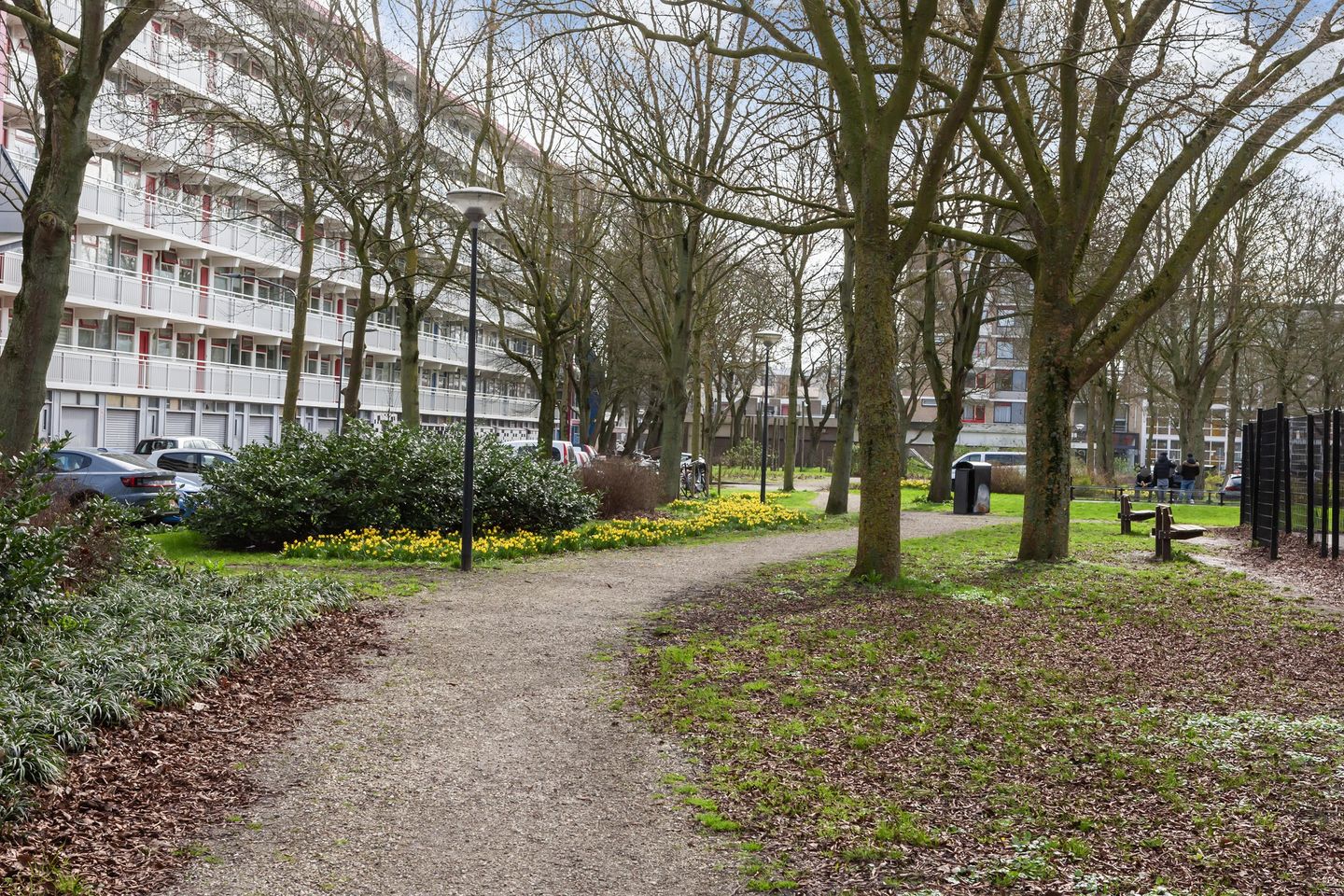 Foto 35 van Jacques Urlusplantsoen 367