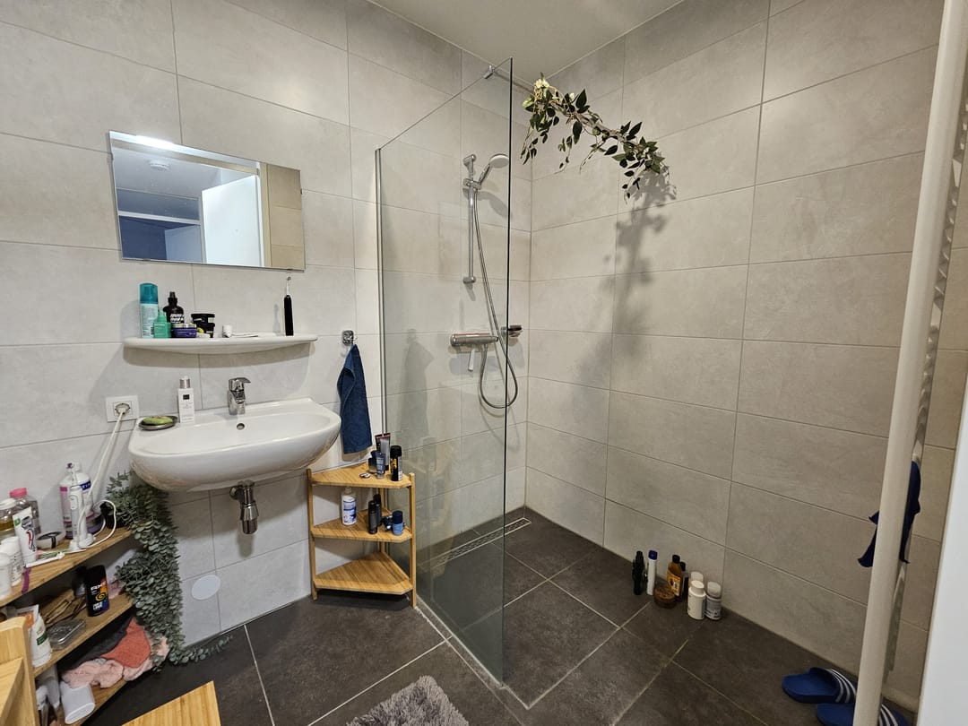 Foto 7 van De Burght 245