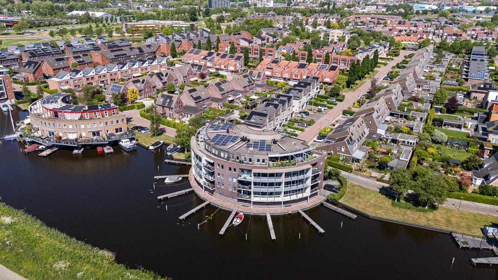 Foto 4 van Apollovlinder 72