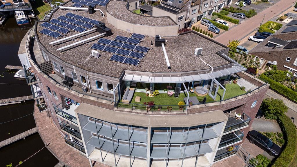 Foto 6 van Apollovlinder 72