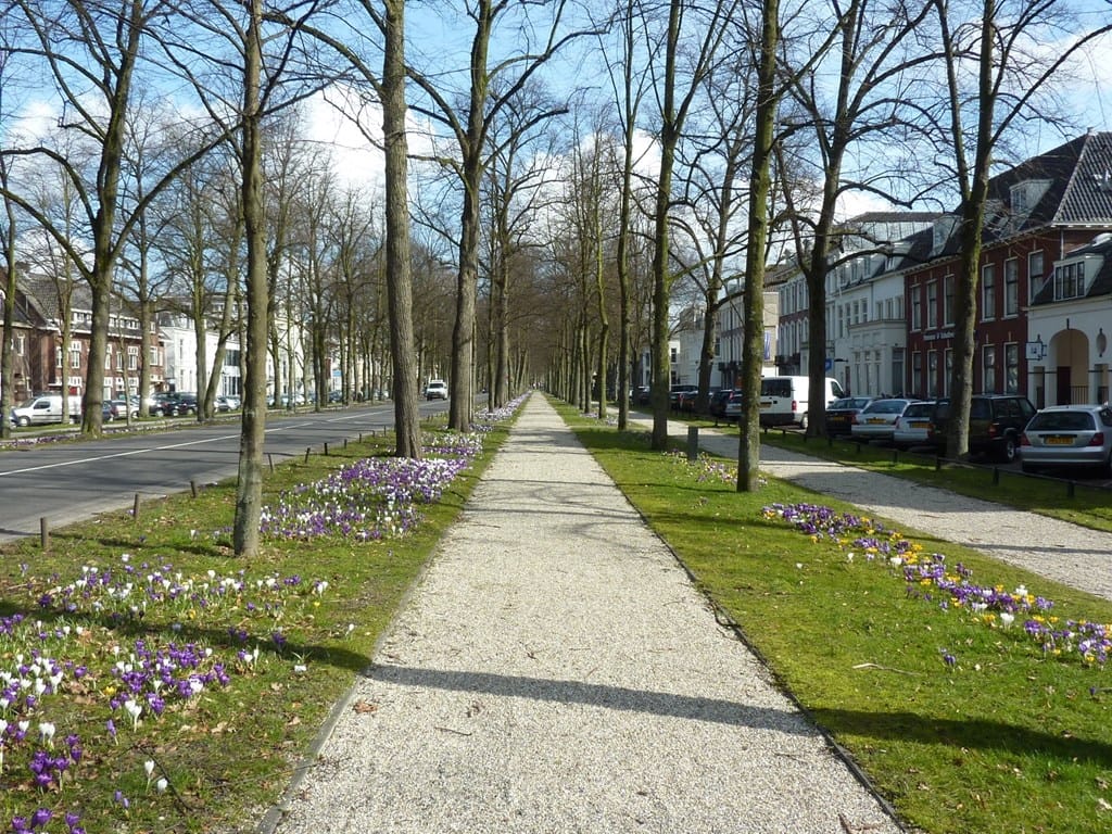 Foto 10 van Maliestraat 1-A